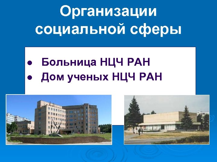Организации социальной сферы l Больница НЦЧ РАН l Дом ученых НЦЧ РАН 