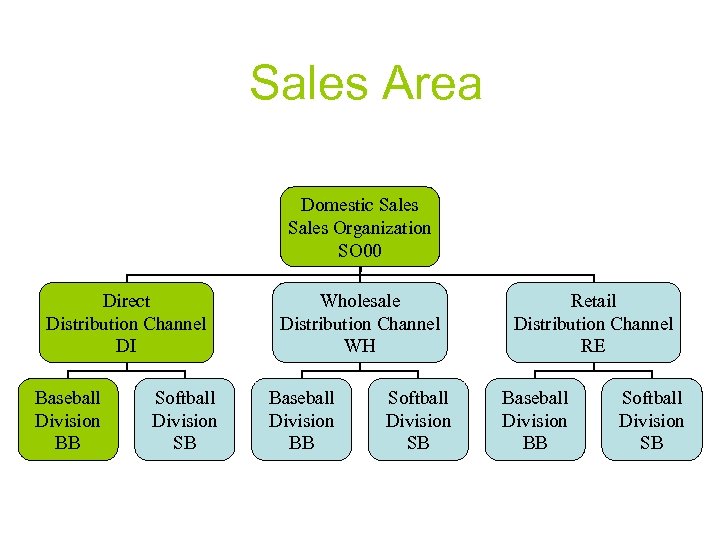 Sales Area Domestic Sales Organization SO 00 Direct Distribution Channel DI Baseball Division BB