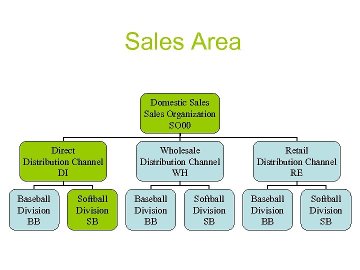Sales Area Domestic Sales Organization SO 00 Direct Distribution Channel DI Baseball Division BB