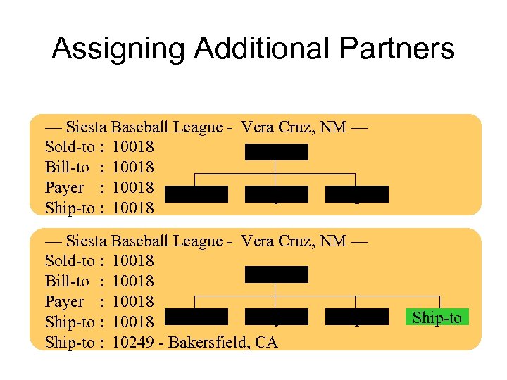 Assigning Additional Partners — Siesta Baseball League - Vera Cruz, NM — Sold-to :