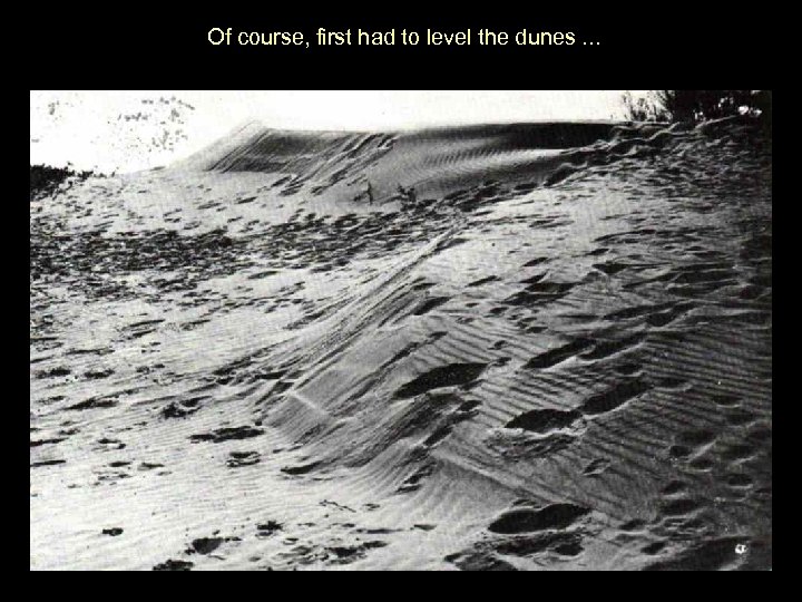  Of course, first had to level the dunes. . . 