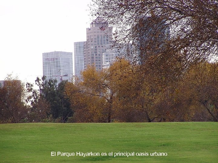 El Parque Hayarkon es el principal oasis urbano 