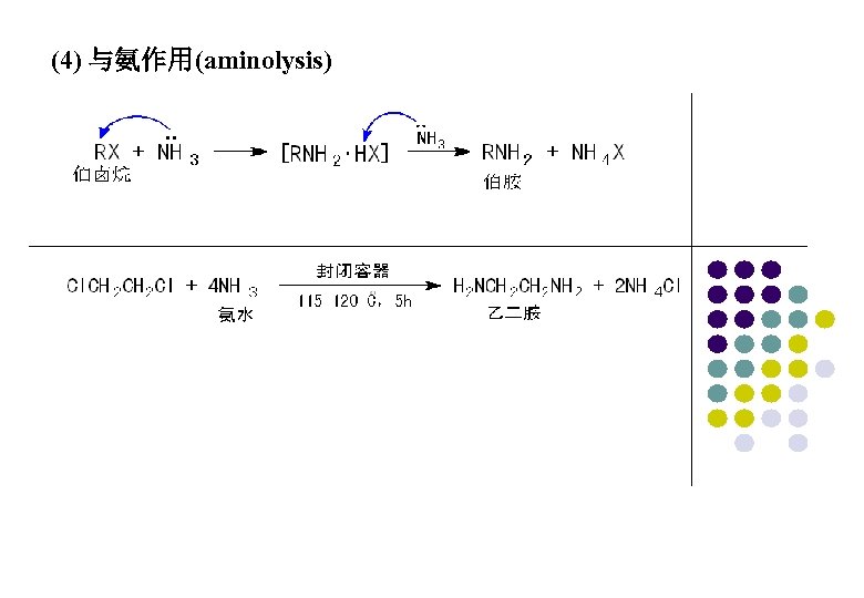 (4) 与氨作用(aminolysis) 