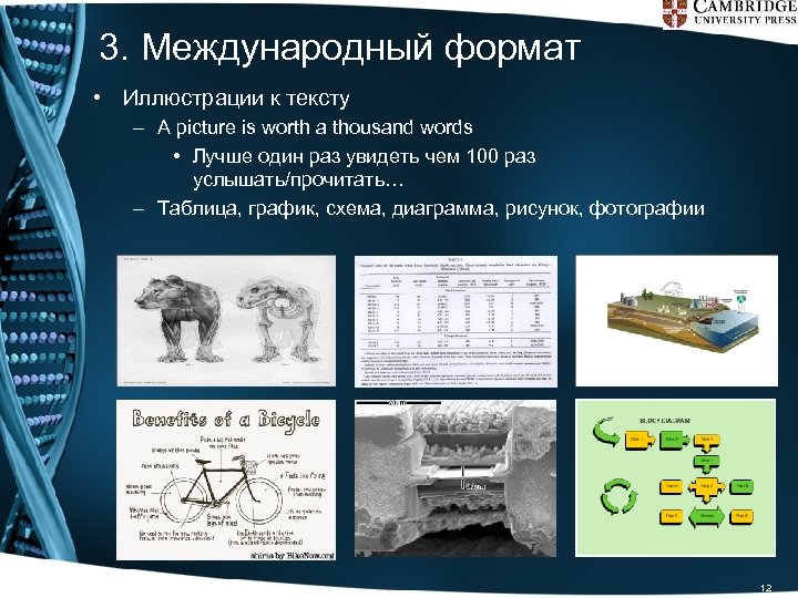3. Международный формат • Иллюстрации к тексту – A picture is worth a thousand