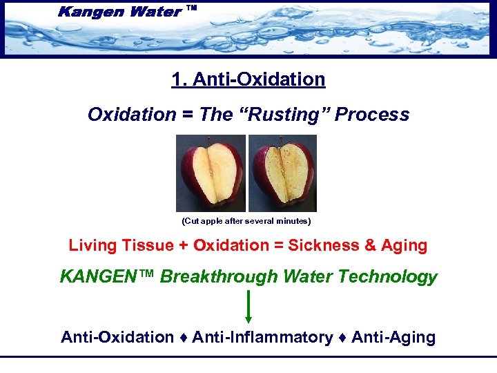 1. Anti-Oxidation = The “Rusting” Process (Cut apple after several minutes) Living Tissue +