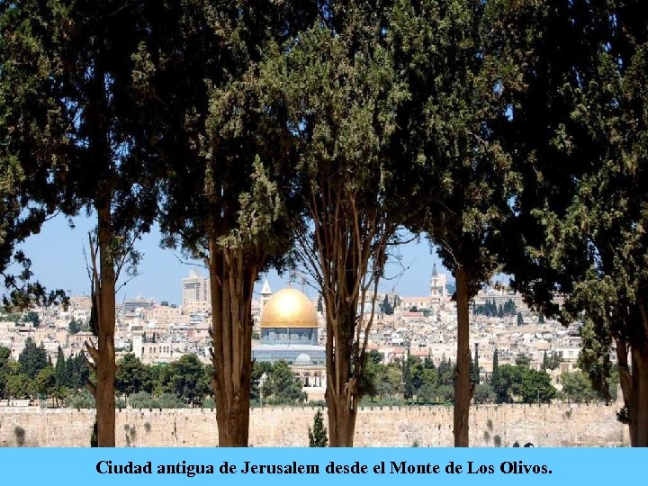 Ciudad antigua de Jerusalem desde el Monte de Los Olivos. 