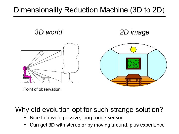 Dimensionality Reduction Machine (3 D to 2 D) 3 D world 2 D image