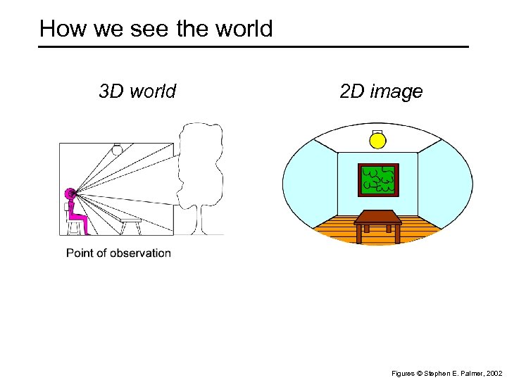 How we see the world 3 D world 2 D image Figures © Stephen