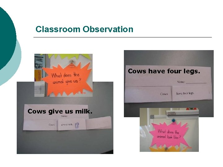 Classroom Observation Cows have four legs. Cows give us milk. 