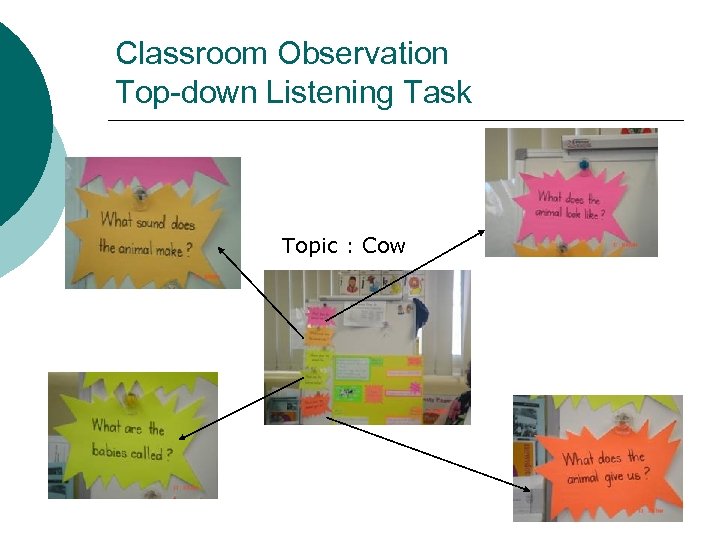 Classroom Observation Top-down Listening Task Topic : Cow 