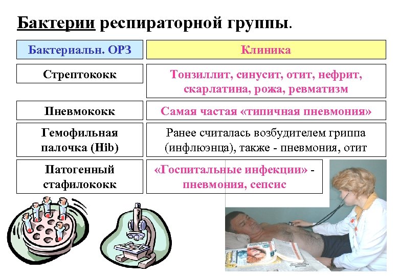 Бактерии респираторной группы. Бактериальн. ОРЗ Клиника Стрептококк Тонзиллит, синусит, отит, нефрит, скарлатина, рожа, ревматизм