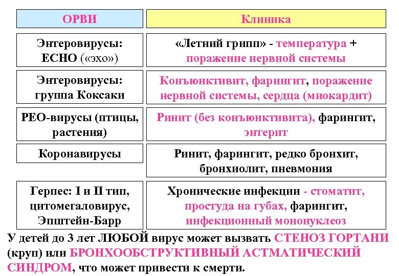 ОРВИ Клиника Энтеровирусы: ЕСНО ( «эхо» ) «Летний грипп» - температура + поражение нервной
