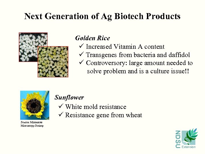 Next Generation of Ag Biotech Products Golden Rice ü Increased Vitamin A content ü