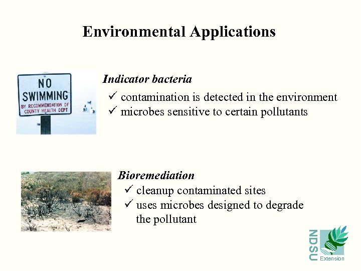 Environmental Applications Indicator bacteria ü contamination is detected in the environment ü microbes sensitive