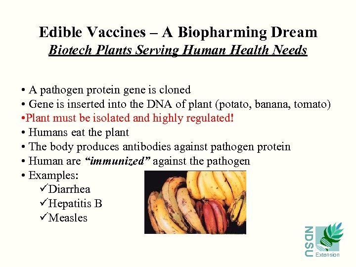 Edible Vaccines – A Biopharming Dream Biotech Plants Serving Human Health Needs • A