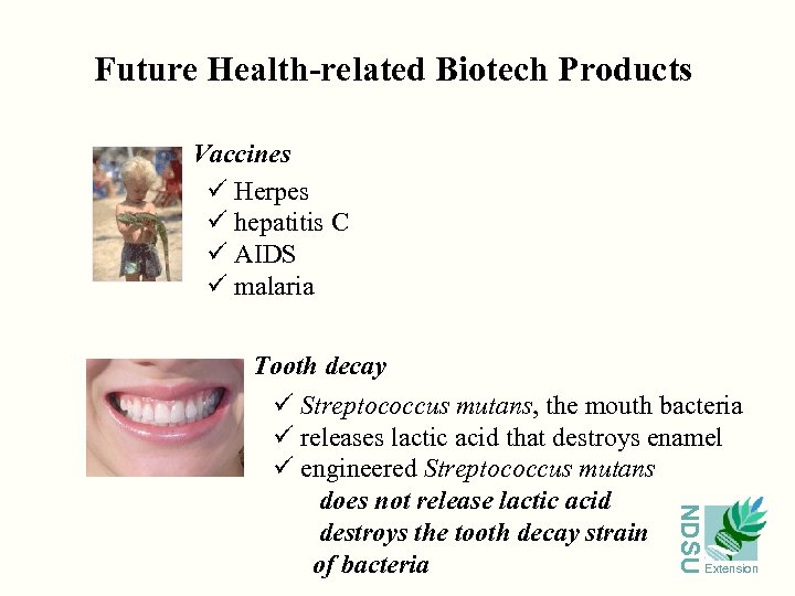 Future Health-related Biotech Products Vaccines ü Herpes ü hepatitis C ü AIDS ü malaria