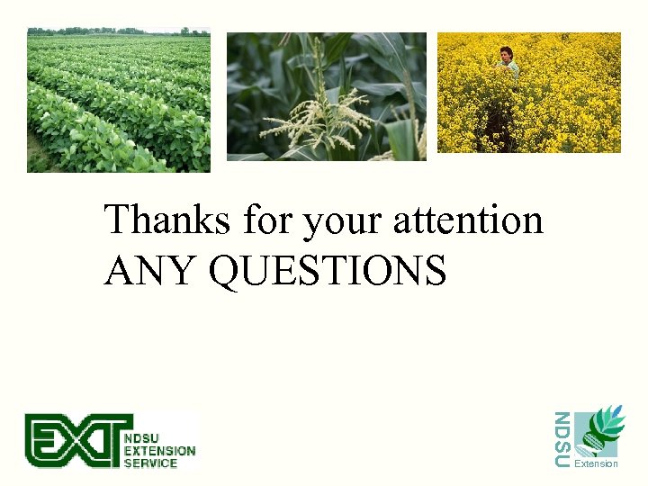 Thanks for your attention ANY QUESTIONS NDSU Extension 