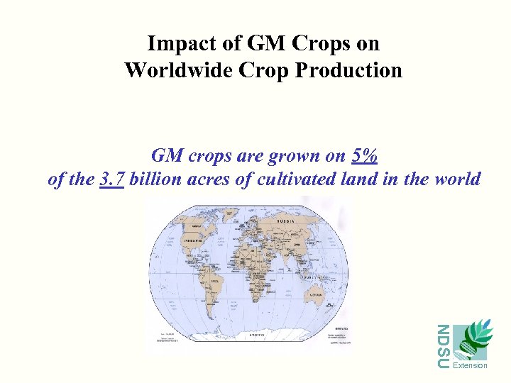 Impact of GM Crops on Worldwide Crop Production GM crops are grown on 5%