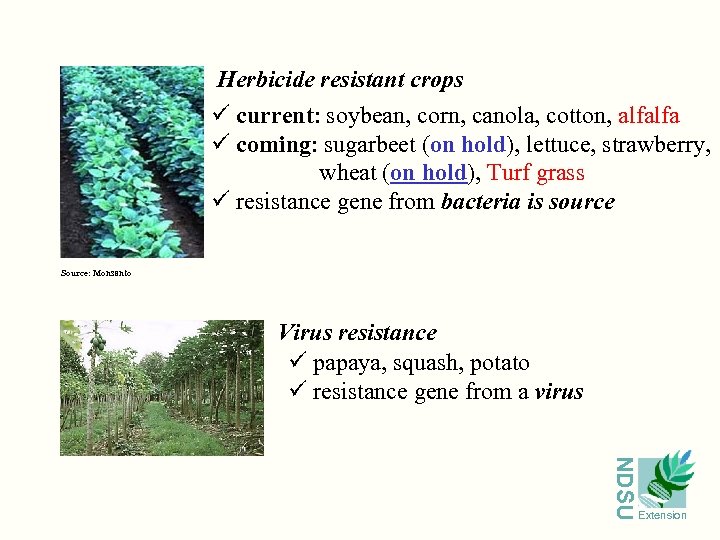 Herbicide resistant crops ü current: soybean, corn, canola, cotton, alfalfa ü coming: sugarbeet (on