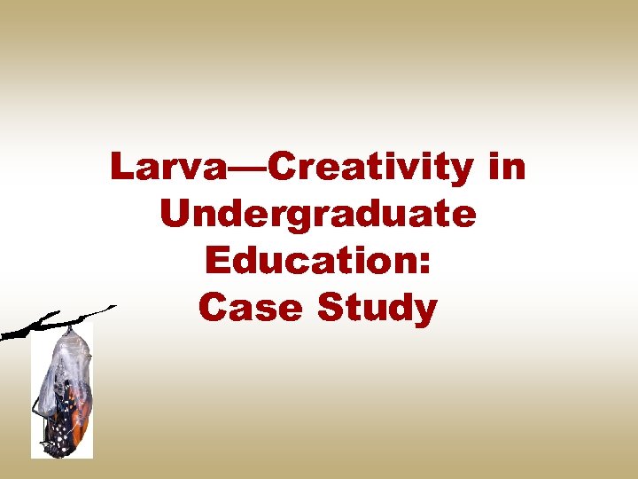 Larva—Creativity in Undergraduate Education: Case Study 