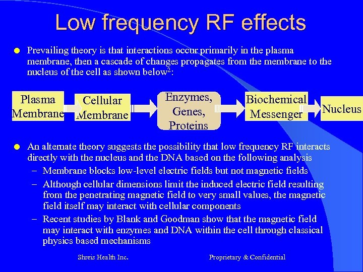 Low frequency RF effects l Prevailing theory is that interactions occur primarily in the