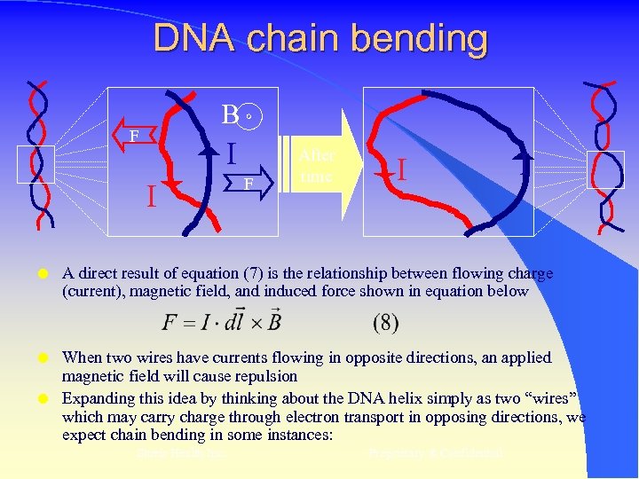 DNA chain bending B F I I F After time I I l A