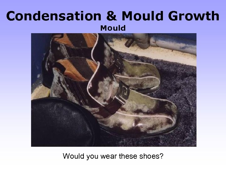 Condensation & Mould Growth Mould Would you wear these shoes? 