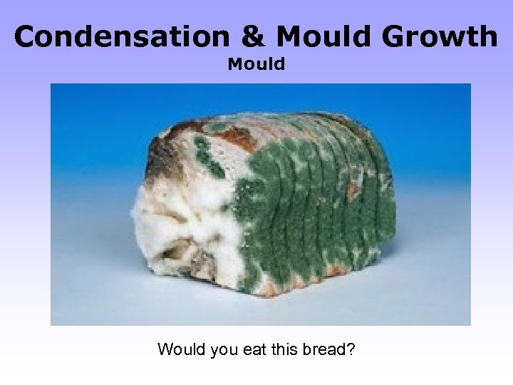 Condensation & Mould Growth Mould Would you eat this bread? 
