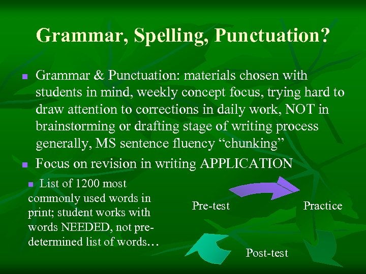 Grammar, Spelling, Punctuation? n n Grammar & Punctuation: materials chosen with students in mind,