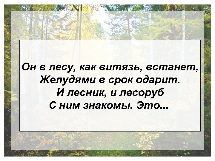Он в лесу, как витязь, встанет, Желудями в срок одарит. И лесник, и лесоруб