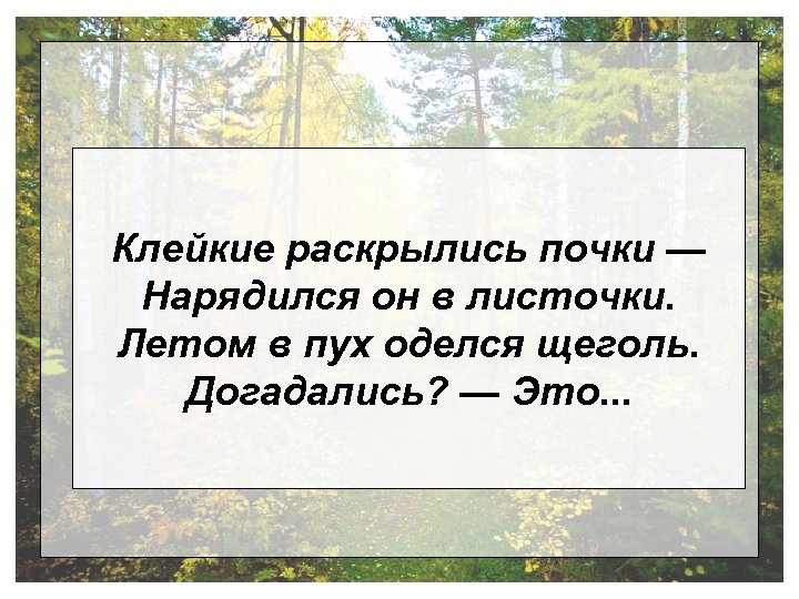 Клейкие раскрылись почки — Нарядился он в листочки. Летом в пух оделся щеголь. Догадались?