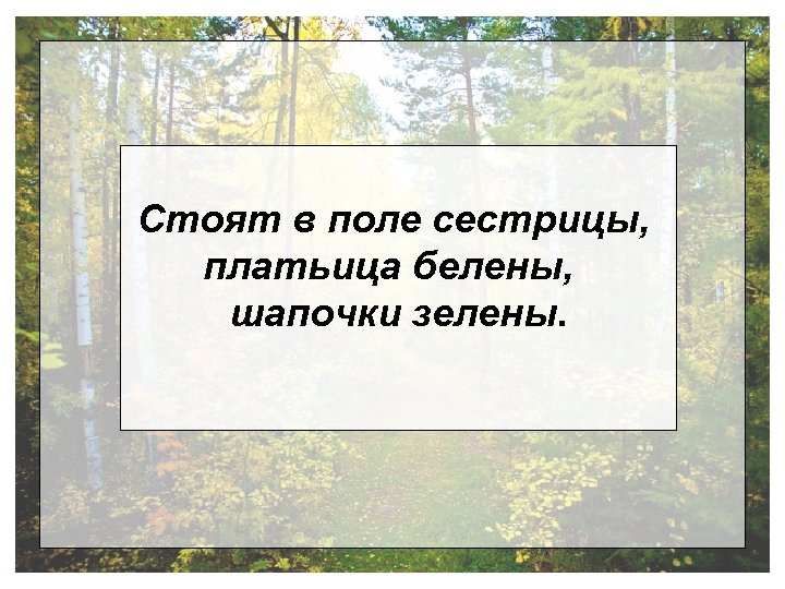 Стоят в поле сестрицы, платьица белены, шапочки зелены. 