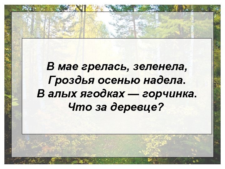 В мае грелась, зеленела, Гроздья осенью надела. В алых ягодках — горчинка. Что за