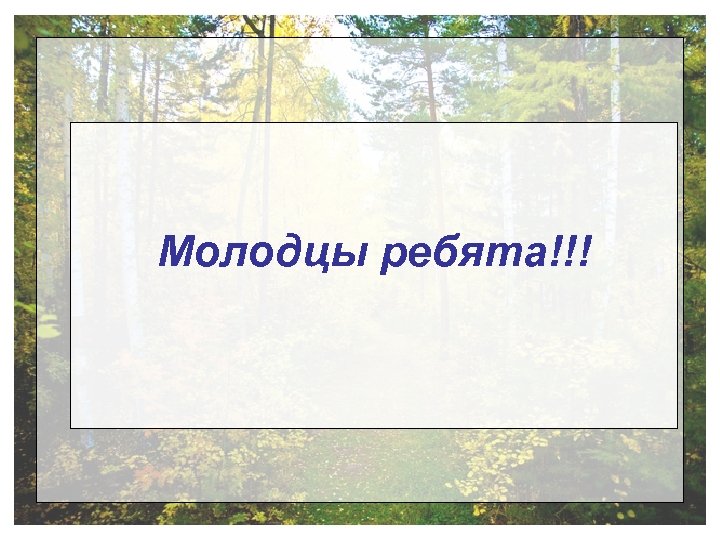 Молодцы ребята!!! 