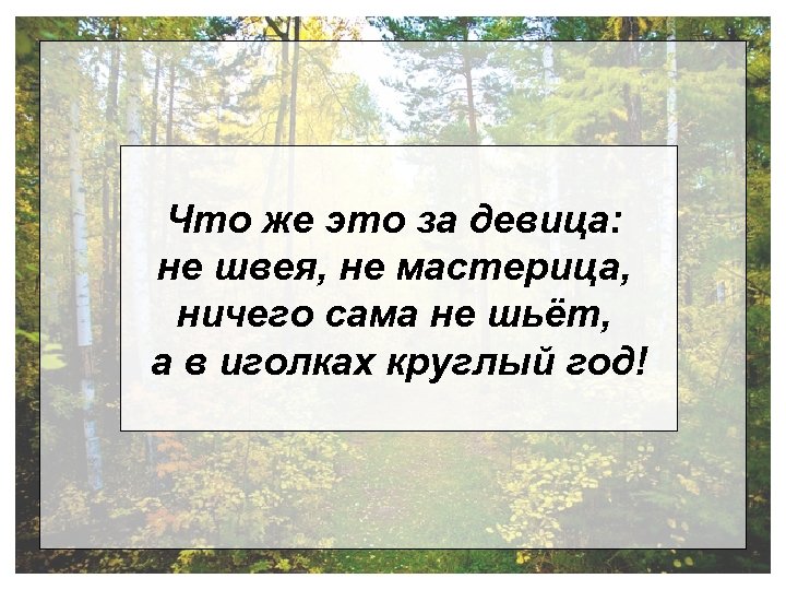 Что же это за девица: не швея, не мастерица, ничего сама не шьёт, а
