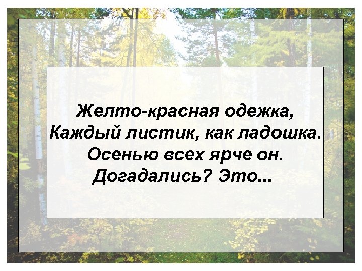 Желто-красная одежка, Каждый листик, как ладошка. Осенью всех ярче он. Догадались? Это. . .