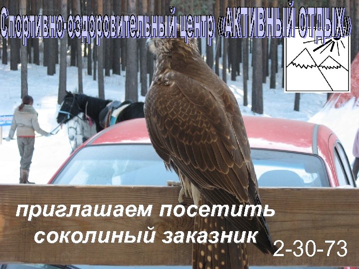 приглашаем посетить соколиный заказник 2 -30 -73 