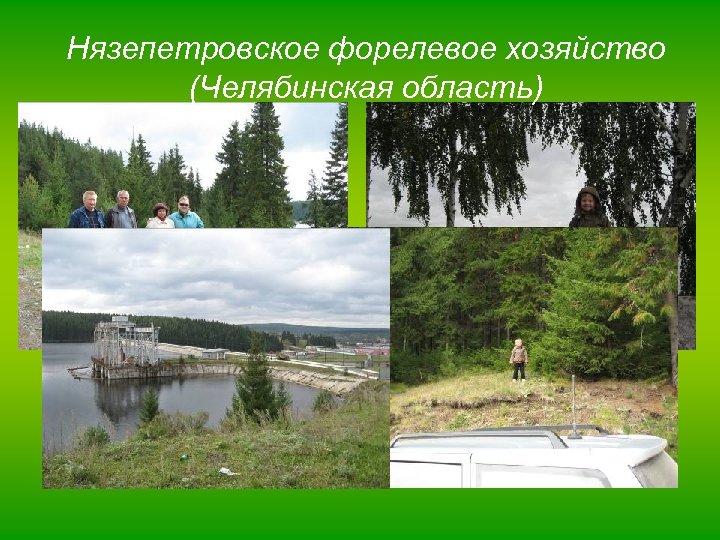 Нязепетровское форелевое хозяйство (Челябинская область) 