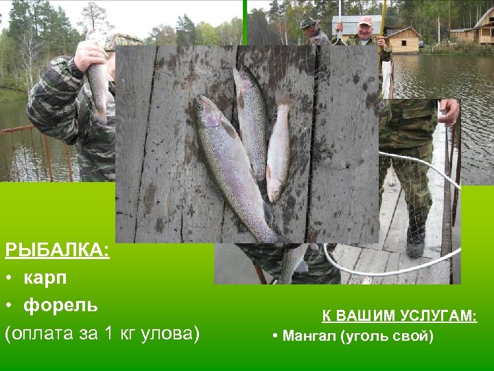 РЫБАЛКА: • карп • форель (оплата за 1 кг улова) К ВАШИМ УСЛУГАМ: •
