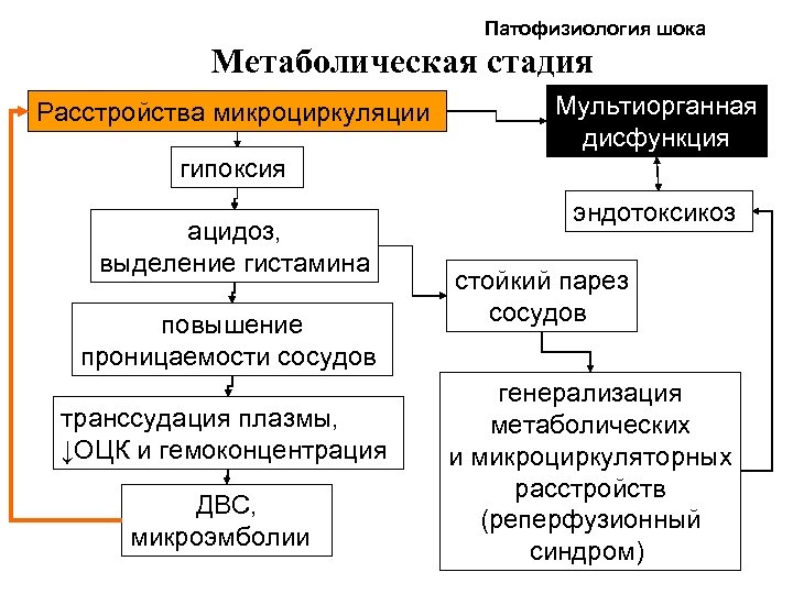 Патофизиология шока Метаболическая стадия Расстройства микроциркуляции Мультиорганная дисфункция гипоксия ацидоз, выделение гистамина повышение проницаемости