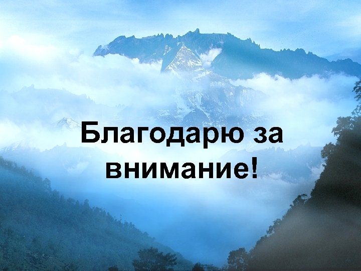 Благодарю за внимание! 