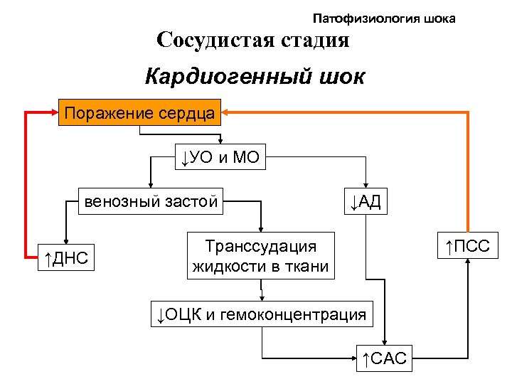 Патофизиология в картинках