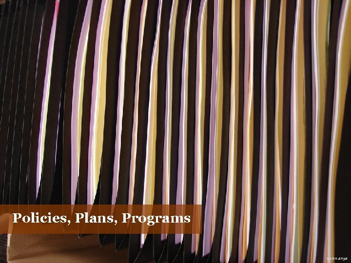 Policies, Plans, Programs quinn. anya 