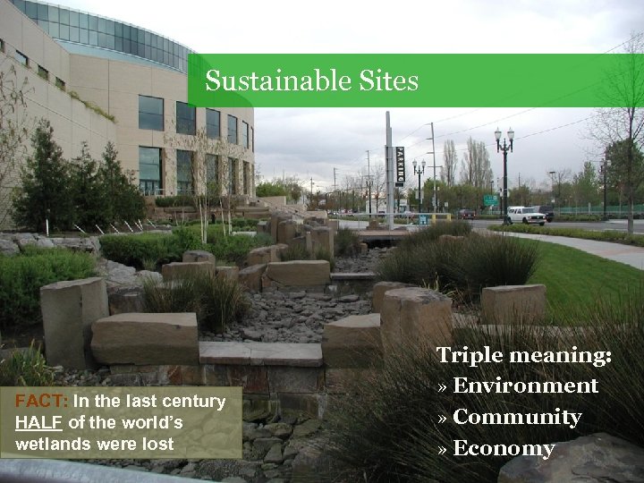 Sustainable Sites FACT: In the last century HALF of the world’s wetlands were lost