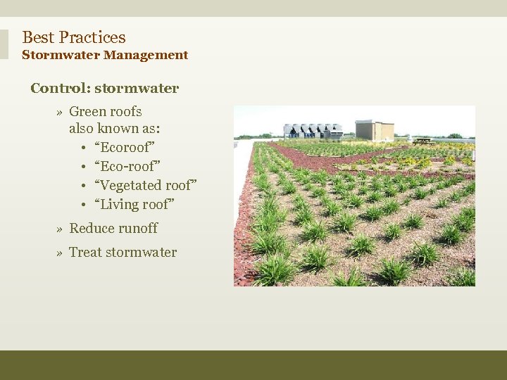 Best Practices Stormwater Management Control: stormwater » Green roofs also known as: • “Ecoroof”