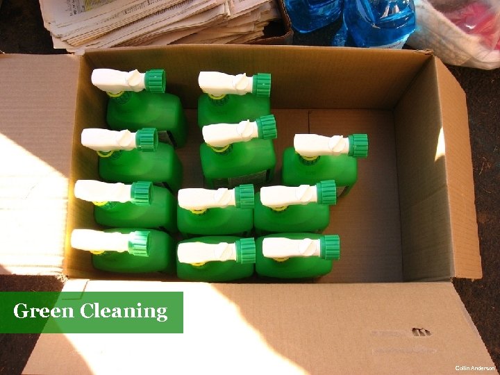 Green Cleaning Collin Anderson 