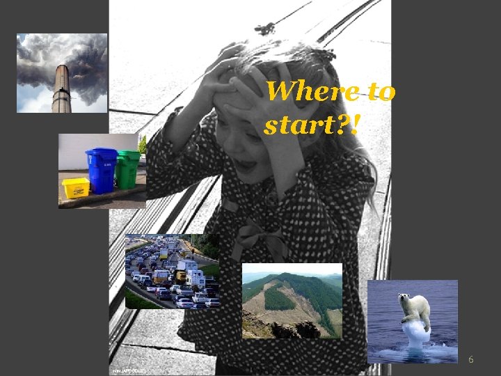 Where to start? ! 6 NINJAPOODLES 