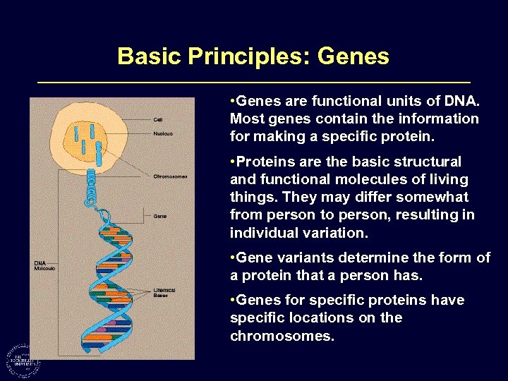 Basic Principles: Genes • Genes are functional units of DNA. Most genes contain the