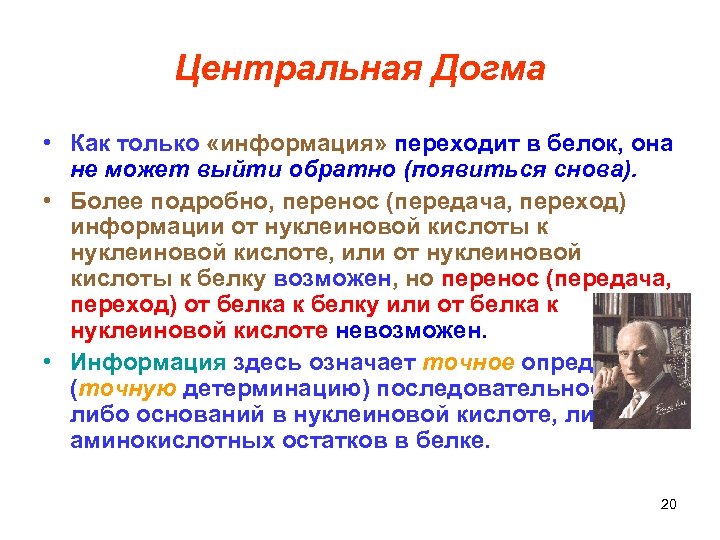 Центральная Догма • Как только «информация» переходит в белок, она не может выйти обратно