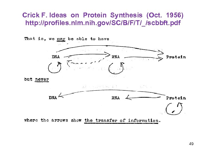 Crick F. Ideas on Protein Synthesis (Oct. 1956) http: //profiles. nlm. nih. gov/SC/B/F/T/_/scbbft. pdf